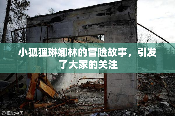 小狐狸琳娜林的冒险故事，引发了大家的关注