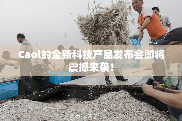 Caol的全新科技产品发布会即将震撼来袭！