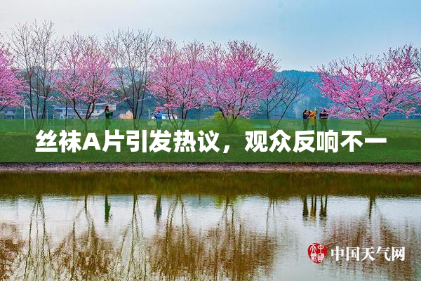 丝袜A片引发热议，观众反响不一