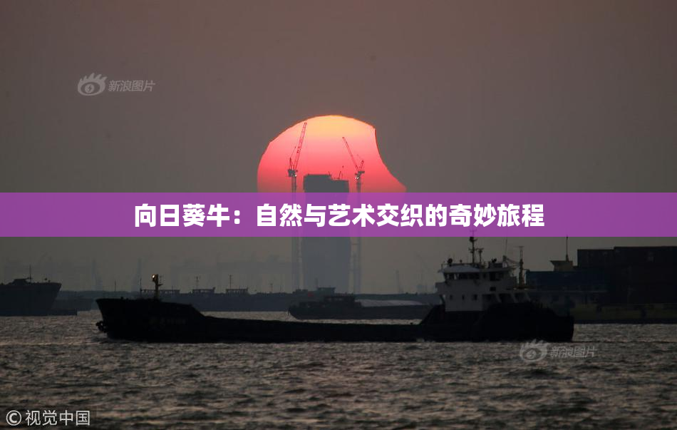 向日葵牛：自然与艺术交织的奇妙旅程