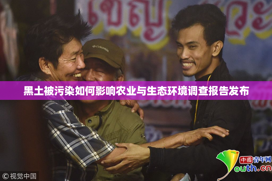 黑土被污染如何影响农业与生态环境调查报告发布