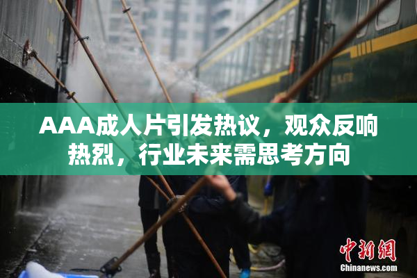 AAA成人片引发热议，观众反响热烈，行业未来需思考方向
