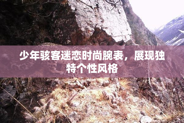 少年骇客迷恋时尚腕表，展现独特个性风格