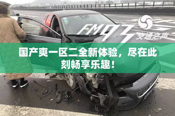 国产爽一区二全新体验，尽在此刻畅享乐趣！