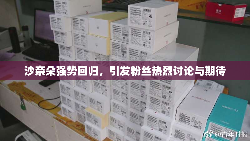 沙奈朵强势回归，引发粉丝热烈讨论与期待