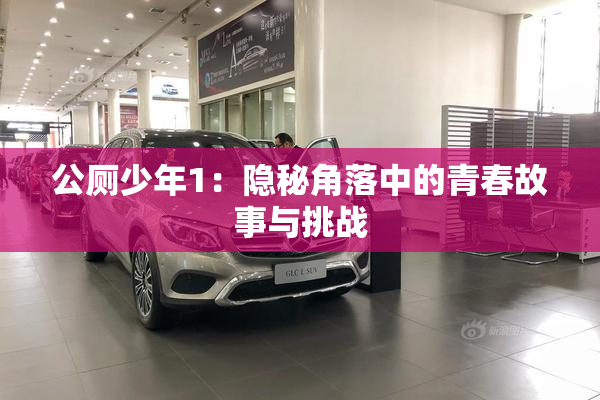 公厕少年1：隐秘角落中的青春故事与挑战