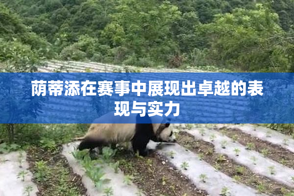 荫蒂添在赛事中展现出卓越的表现与实力