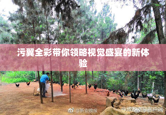 污翼全彩带你领略视觉盛宴的新体验