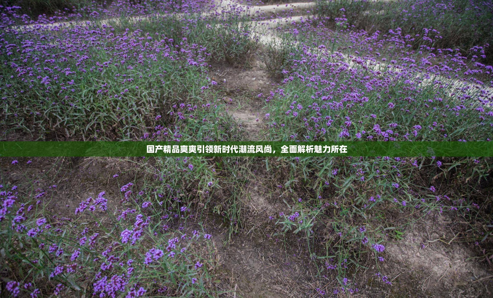国产精品爽爽引领新时代潮流风尚，全面解析魅力所在