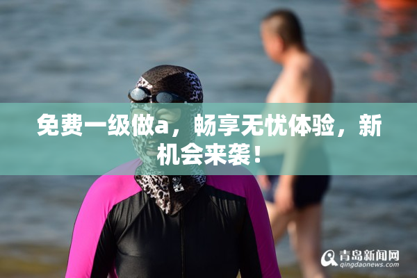 免费一级做a，畅享无忧体验，新机会来袭！