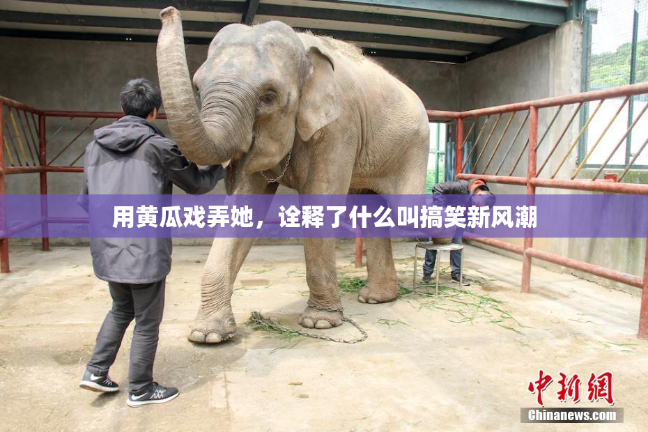用黄瓜戏弄她，诠释了什么叫搞笑新风潮