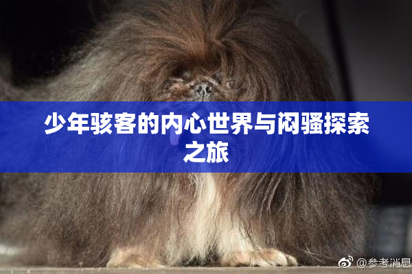 少年骇客的内心世界与闷骚探索之旅
