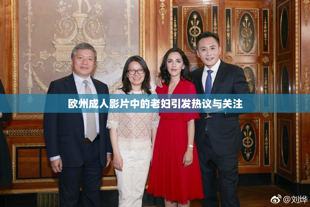 欧州成人影片中的老妇引发热议与关注