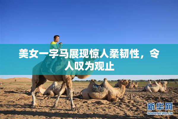 美女一字马展现惊人柔韧性，令人叹为观止