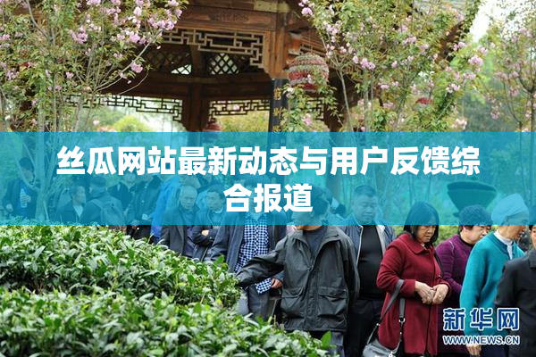 丝瓜网站最新动态与用户反馈综合报道