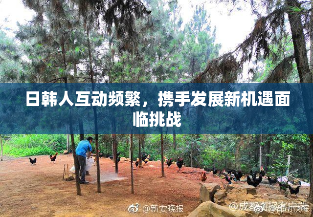 日韩人互动频繁，携手发展新机遇面临挑战