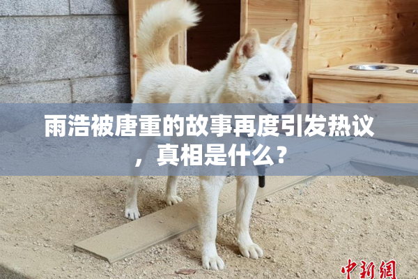 雨浩被唐重的故事再度引发热议，真相是什么？