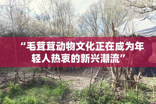“毛茸茸动物文化正在成为年轻人热衷的新兴潮流”