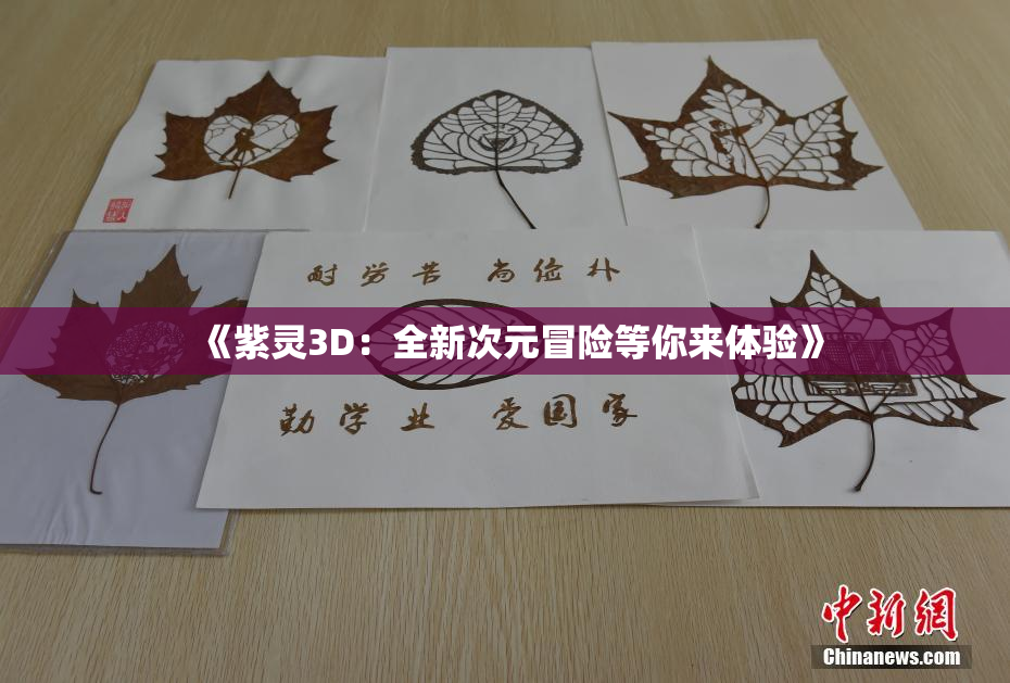 《紫灵3D：全新次元冒险等你来体验》