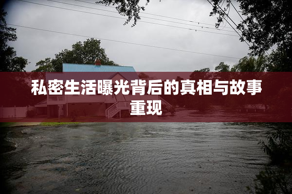 私密生活曝光背后的真相与故事重现