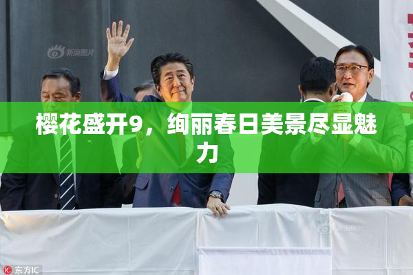 樱花盛开9，绚丽春日美景尽显魅力