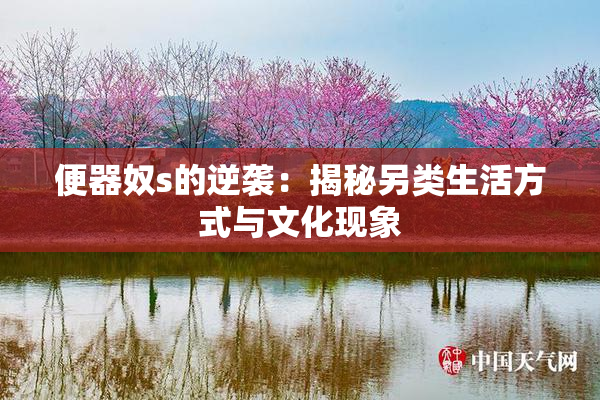 便器奴s的逆袭：揭秘另类生活方式与文化现象