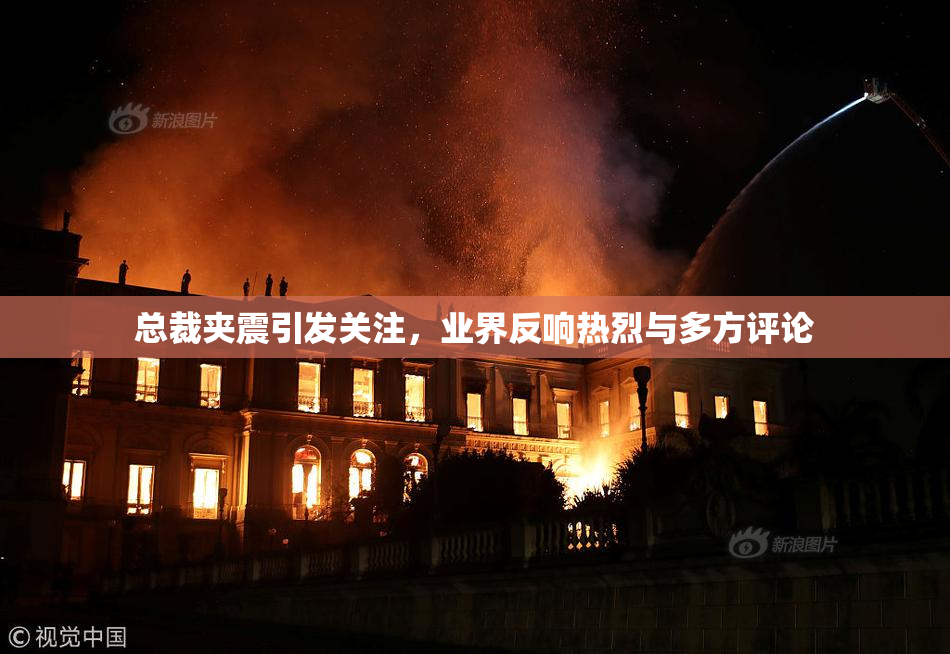 总裁夹震引发关注，业界反响热烈与多方评论