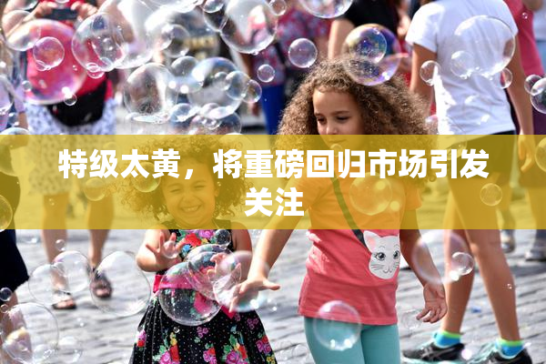 特级太黄，将重磅回归市场引发关注