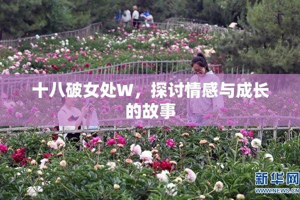 十八破女处W，探讨情感与成长的故事