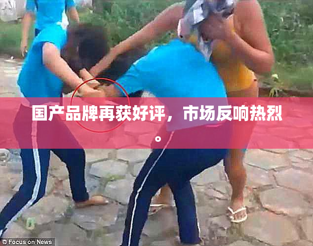 国产品牌再获好评，市场反响热烈。