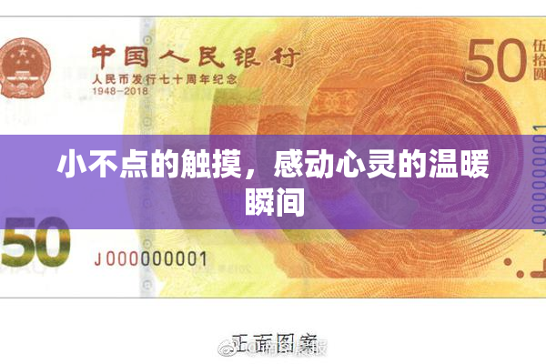 小不点的触摸，感动心灵的温暖瞬间
