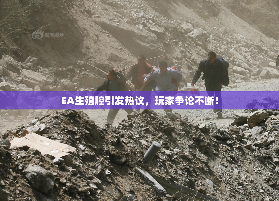 EA生殖腔引发热议，玩家争论不断！