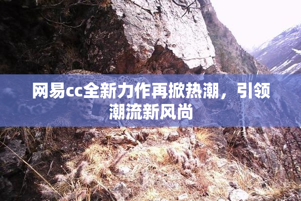 网易cc全新力作再掀热潮，引领潮流新风尚