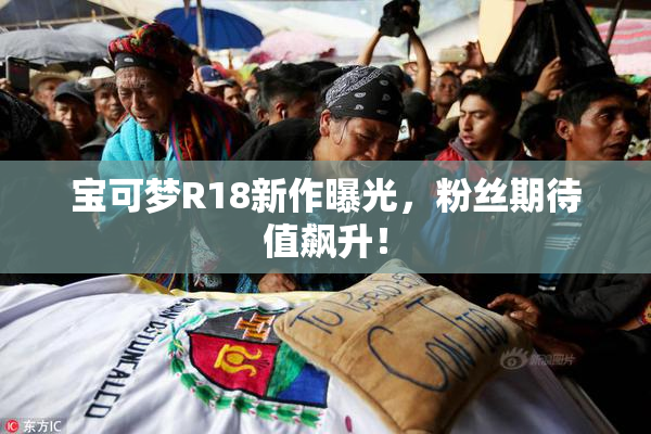 宝可梦R18新作曝光，粉丝期待值飙升！