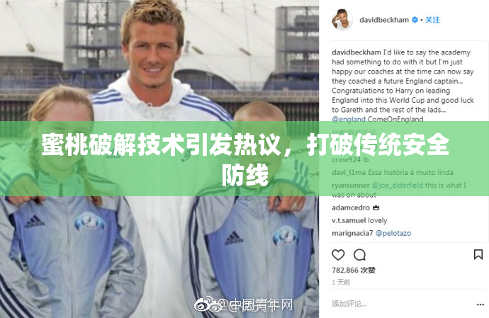 蜜桃破解技术引发热议，打破传统安全防线