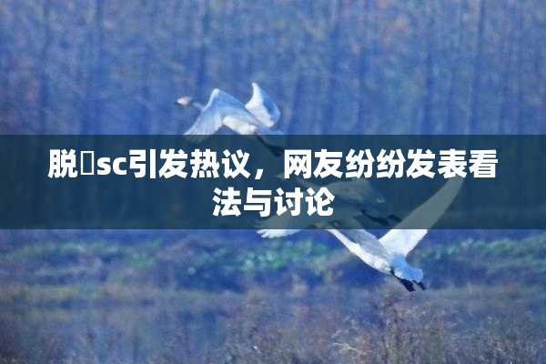 脱糞sc引发热议，网友纷纷发表看法与讨论