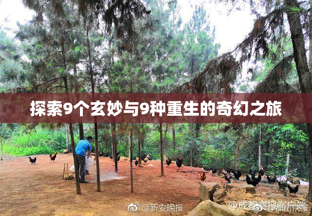 探索9个玄妙与9种重生的奇幻之旅