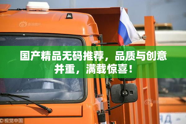 国产精品无码推荐，品质与创意并重，满载惊喜！