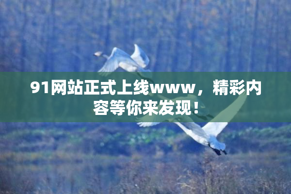 91网站正式上线www，精彩内容等你来发现！