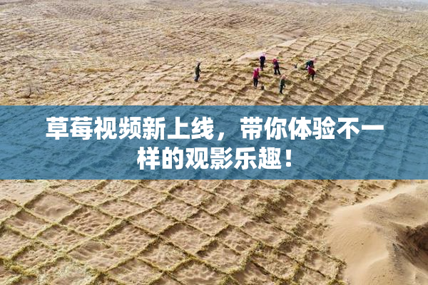 草莓视频新上线，带你体验不一样的观影乐趣！