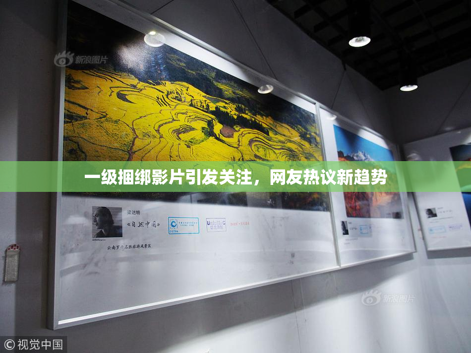 一级捆绑影片引发关注，网友热议新趋势