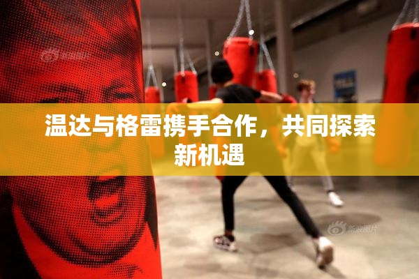 温达与格雷携手合作，共同探索新机遇