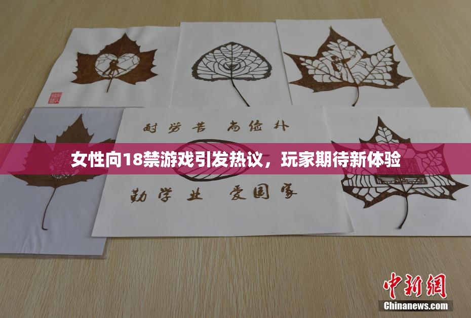 女性向18禁游戏引发热议，玩家期待新体验