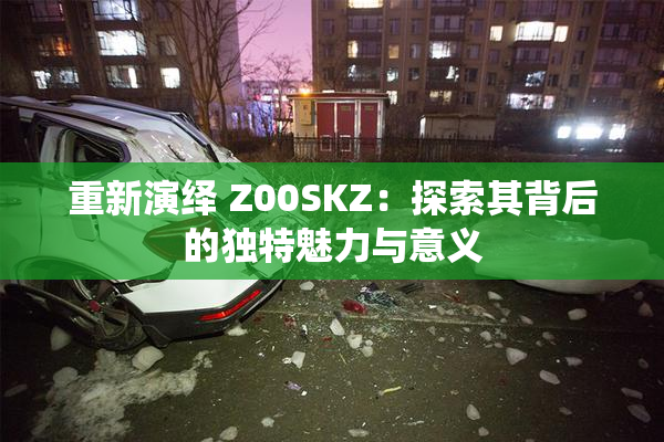 重新演绎 Z00SKZ：探索其背后的独特魅力与意义