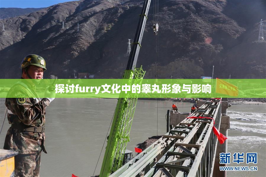 探讨furry文化中的睾丸形象与影响