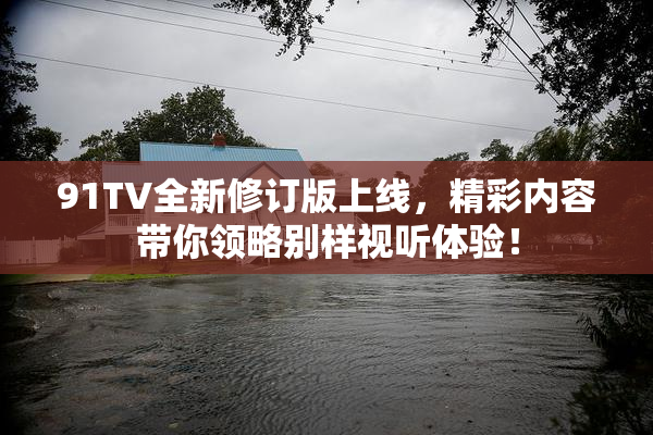 91TV全新修订版上线，精彩内容带你领略别样视听体验！