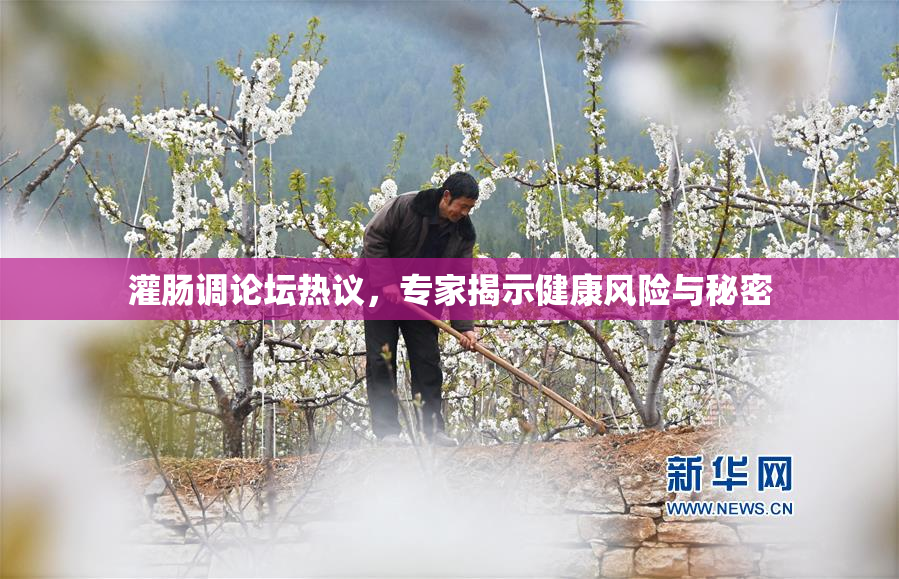 灌肠调论坛热议，专家揭示健康风险与秘密