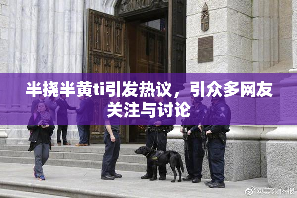 半挠半黄ti引发热议，引众多网友关注与讨论