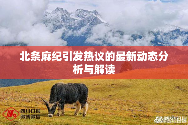 北条麻纪引发热议的最新动态分析与解读