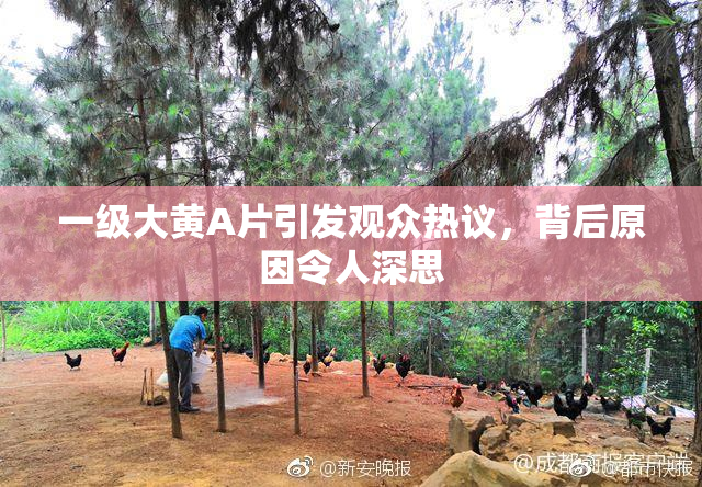 一级大黄A片引发观众热议，背后原因令人深思